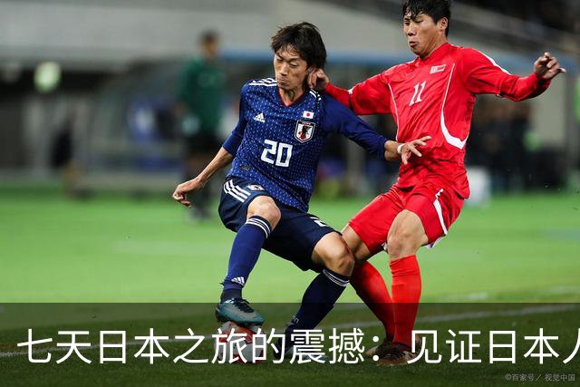 七天日本之旅的震撼：见证日本人素质的真实一刻