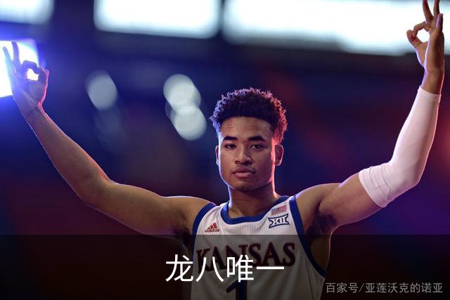 龙八唯一公司简介